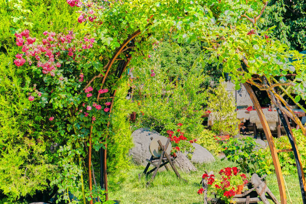 istock Beautiful garden decoration with red roses 1208814355