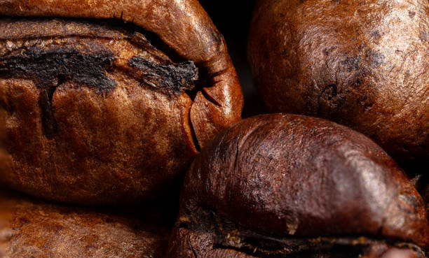 Extreme macro photography of coffee beans