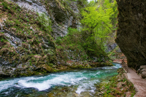 istock Mountain stream flowing through Vintgar gorge, Slovenia 1208816728