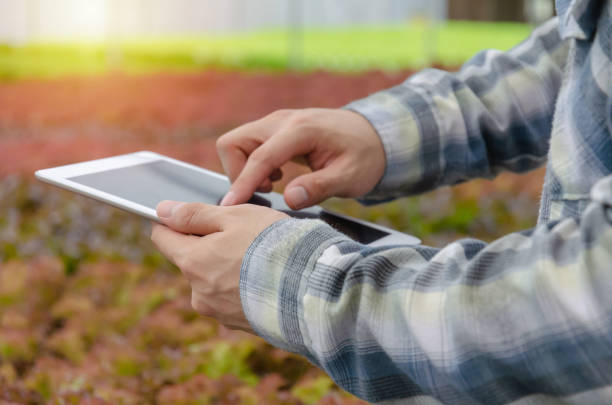 istock hands of young farmer man using mobile tablet computer with organic hydroponic fresh vegetables produce in greenhouse garden nursery farm, smart farming technology and agricultural innovation concept 1208816869