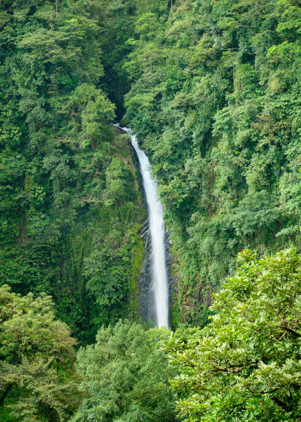 istock La Fortuna waterfall from a distance 1208817282