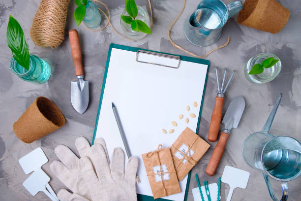 istock gardener's desk with garden tools, seeds and tablet 1208818518
