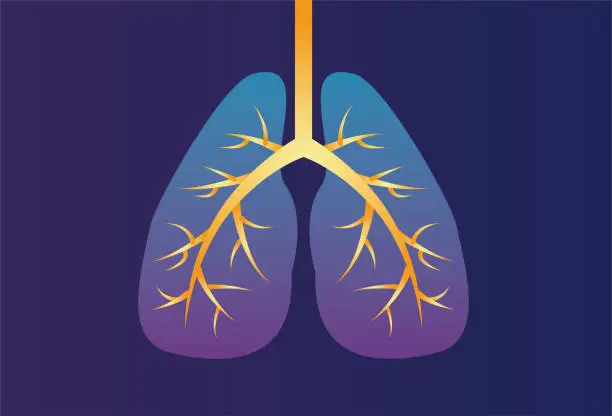 Vector illustration of Lung CT stock illustration