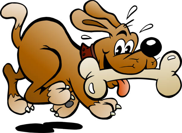 Vector Cartoon Illustration Of A Happy Dog With A Big Bone Stock  Illustration - Download Image Now - iStock