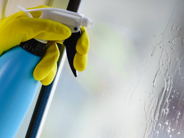 istock Person spraying window cleaning detergent 1208827862