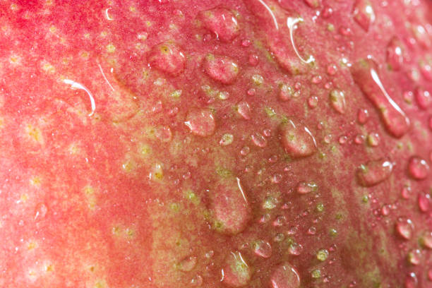 istock drops of water on a red apple background 1208828144