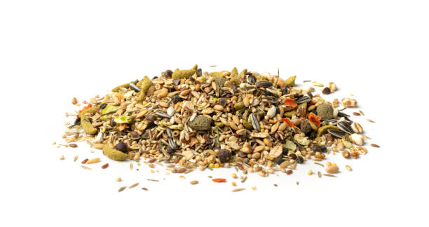 istock Dry Rodent Food Mix for Mouse, Rabbit or Degu Isolated 1208829738
