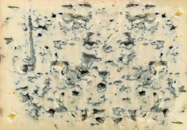 Blue Mold Cheese Texture Background Close Up Moldy cheese texture background. Gorgonzola, neufchatel or danablue mold cheese pattern close up roquefort cheese stock pictures, royalty-free photos & images