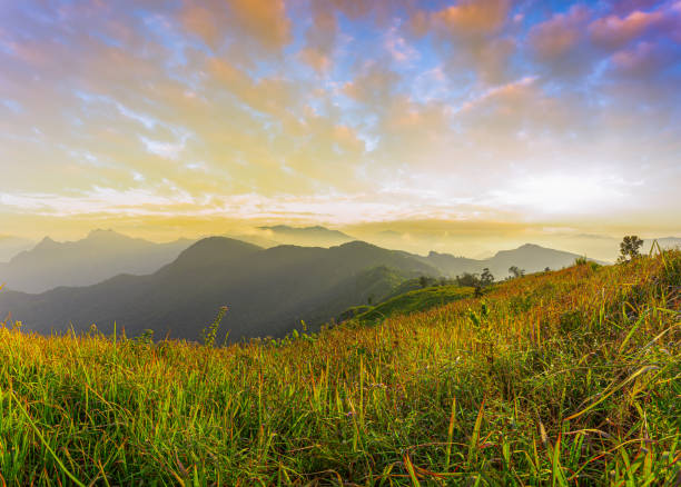 istock Panoramic mountain view, sunset,Mountain landscape,Sunset, Springtime, Sun, Sky, Meadow,Asia, Thailand, Blue, Forest, Hill 1208831091