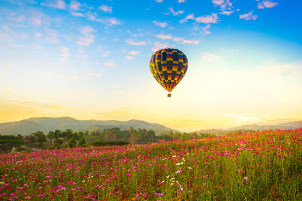 istock Hot air balloon over cosmos flowers with blue sky 1208833231