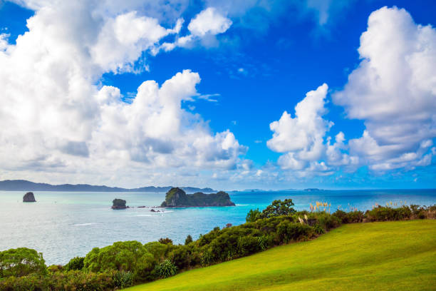 istock Pacific Ocean, New Zealand 1208833242