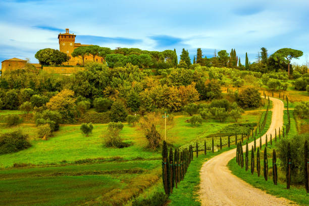 istock Rural dirt road rises to the farm 1208833258