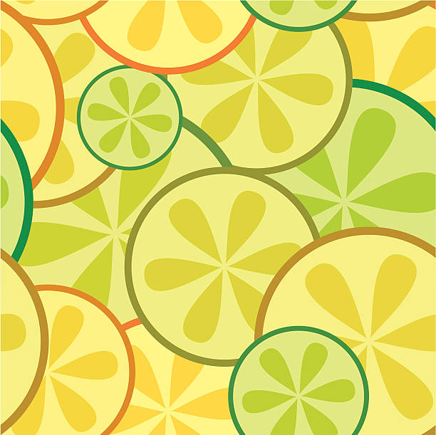 Citrus vector art illustration