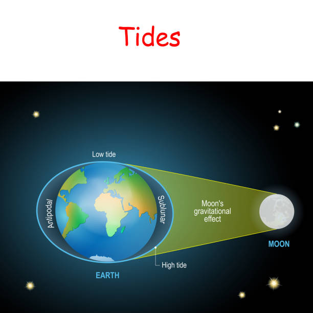 tides diagram tides diagram. Low and high lunar tides. Effect of Moon gravitational force on seacoast water level. vector illustration for astronomy, geography, educational and science for kids. high tide stock illustrations