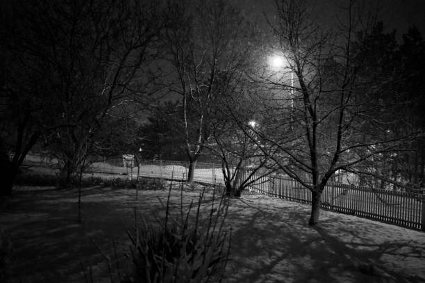 istock snow blizzard in the dark 1208839403