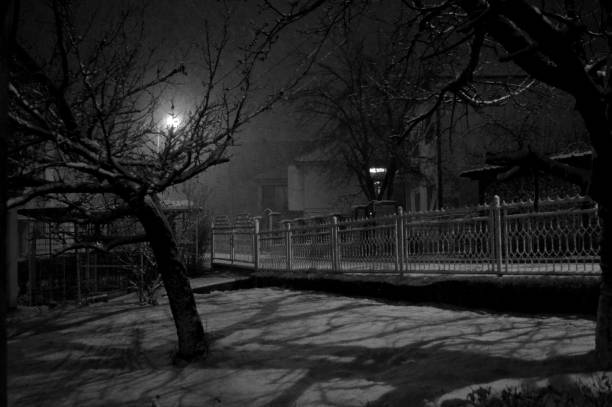 istock snow blizzard in the dark 1208839440