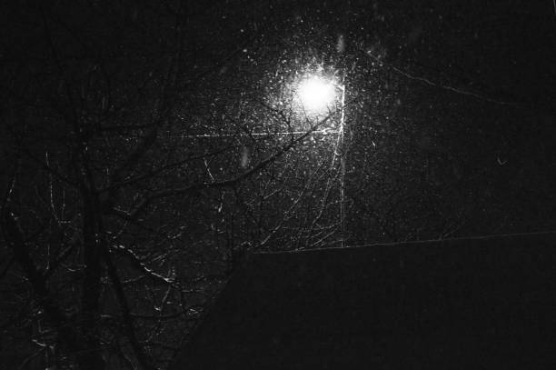 istock snow blizzard in the dark 1208839533