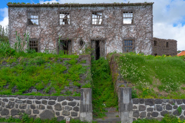 istock house in ruins very covered with dry vegetation. 1208839616