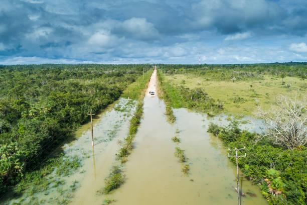 istock Flooded road in Central America 1208841603