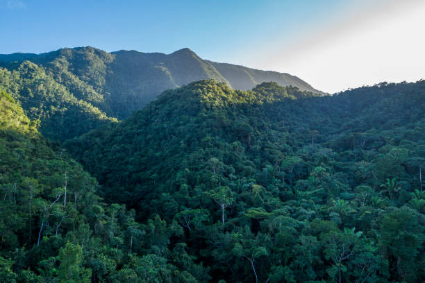 Misty Mayan Mountains in Central America