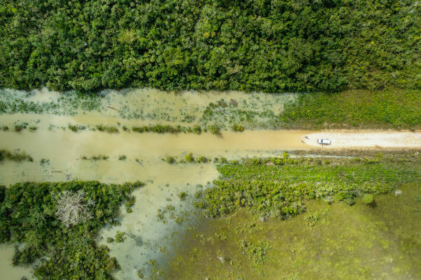 istock Flooded road in Central America 1208841640