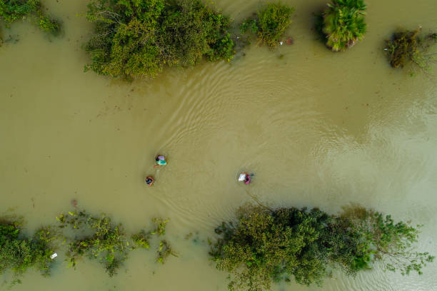 istock Flooded road in Central America 1208841893
