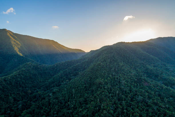 istock Misty Mayan Mountains in Central America 1208841903