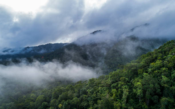istock Misty Mayan Mountains in Central America 1208841922