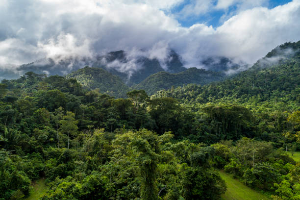 Misty Mayan Mountains in Central America Misty Mayan Mountains in Central America peru travel stock pictures, royalty-free photos & images