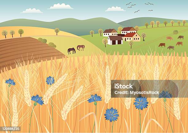 穀物のフィールド - 農家の納屋のベクターアート素材や画像を多数ご用意 - 農家の納屋, 家, 耕作地