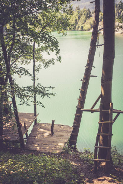 Aluminium ladder descends into deep green water beside old wooden wharf pile