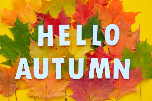 istock Leaves of paper fall red, orange, yellow leaf fall. Autumn concept 1208848886