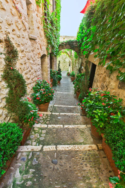 istock Alpine Provence, France. 1208850199