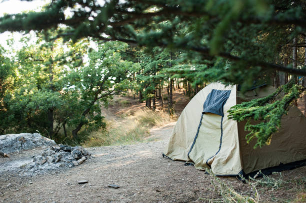 istock khaki tent in the forest. wild rest in the forest. 1208850778