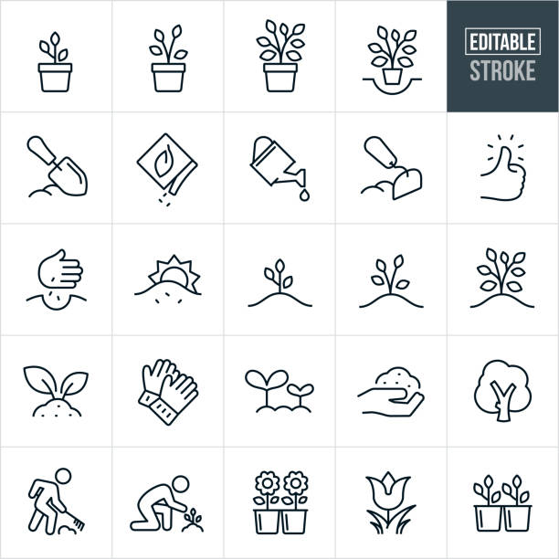 ilustrações de stock, clip art, desenhos animados e ícones de planting and growing thin line icons - editable stroke - watering can