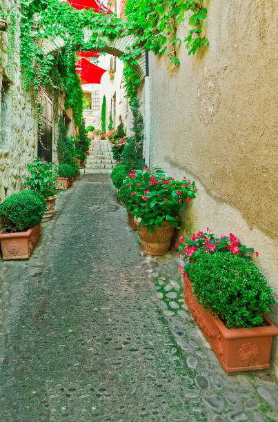 istock Alpine Provence, France. 1208850913