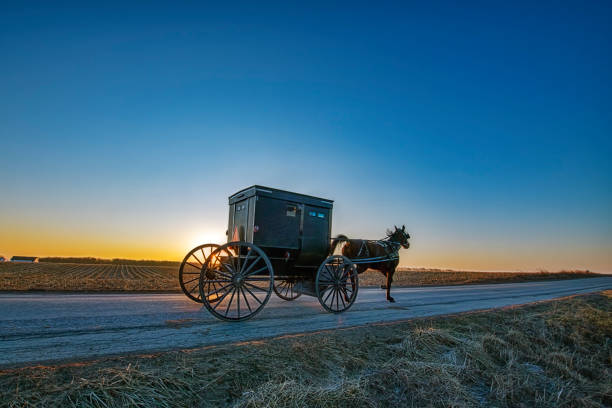 amish buggy bei dawn - pferdekarre stock-fotos und bilder