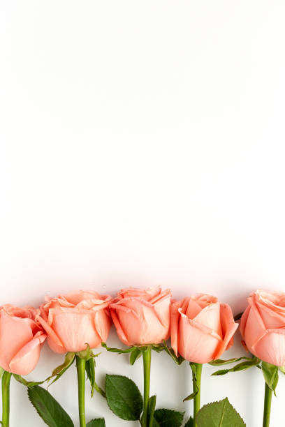 istock Beautiful bouquets of fresh spring flowers 1208852218