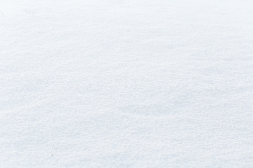 Winter snow. Snowy texture Top view of snow. Texture for design. Snowy white texture. Snowflakes.