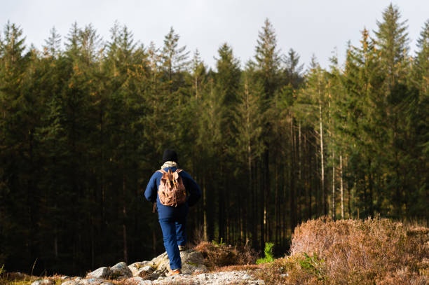 istock Active senior man in a remote rural location in Scotland 1208853104