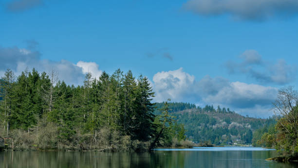 istock South Puget Sound On A Lazy Winter Afternoon 1208853656