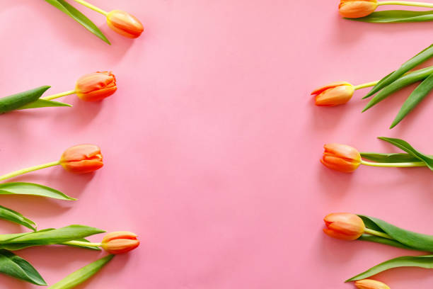 istock Colorful orange tulips on light pink background. Mother's day present. 1208856266