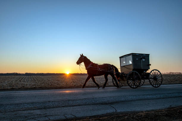 istock Sun on the Horizon with Amish Buggy 1208857320