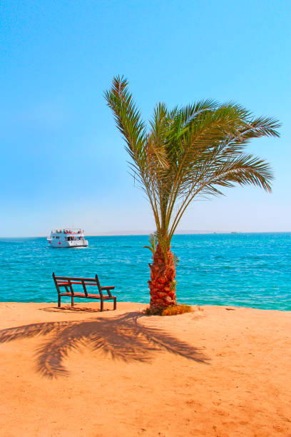 View of tropical island with palm tree and promenade ship on sea. Paradise island in Red sea. Tropical resort. Vacations concept. Marine panorama with beach palm trees and sea