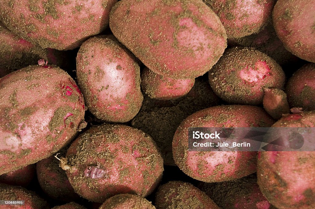 Red potatos - Zbiór zdjęć royalty-free (Czerwony ziemniak)