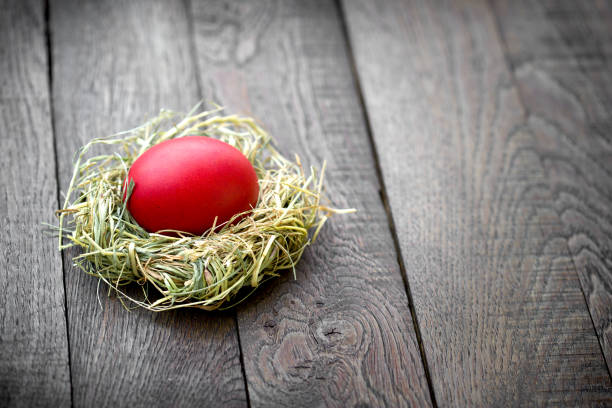 red easter egg in nest, a symbol of life, a symbol of faith and christianity - easter eggs red imagens e fotografias de stock