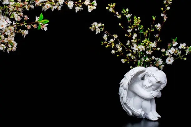 Photo of beautiful white flowers and  white angel on black background