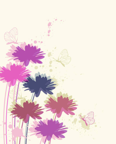 플로럴 배경 카모마일 - butterfly purple squirting white butterfly stock illustrations