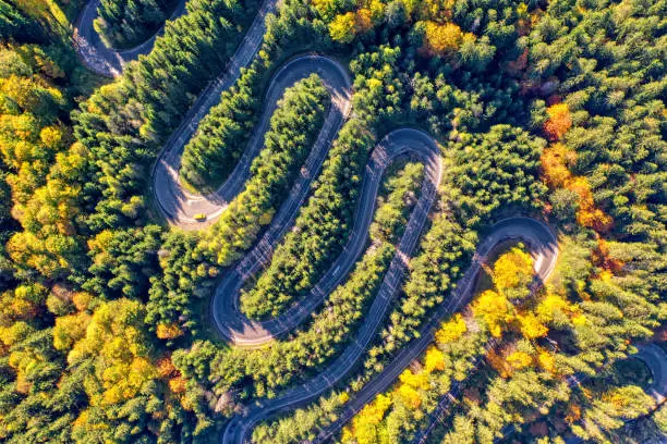 Photo of Aerial view of a winding mountain road passing through a fir trees forest. Autumn colors