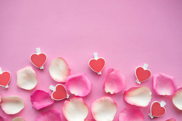 istock White and pink rose petals on pink background. Copy space for the text 1208862191